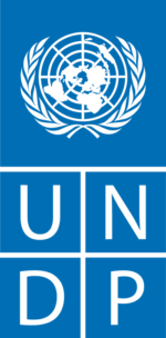 Partners_UNDP logo